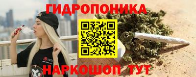 прущие грибы Краснознаменск