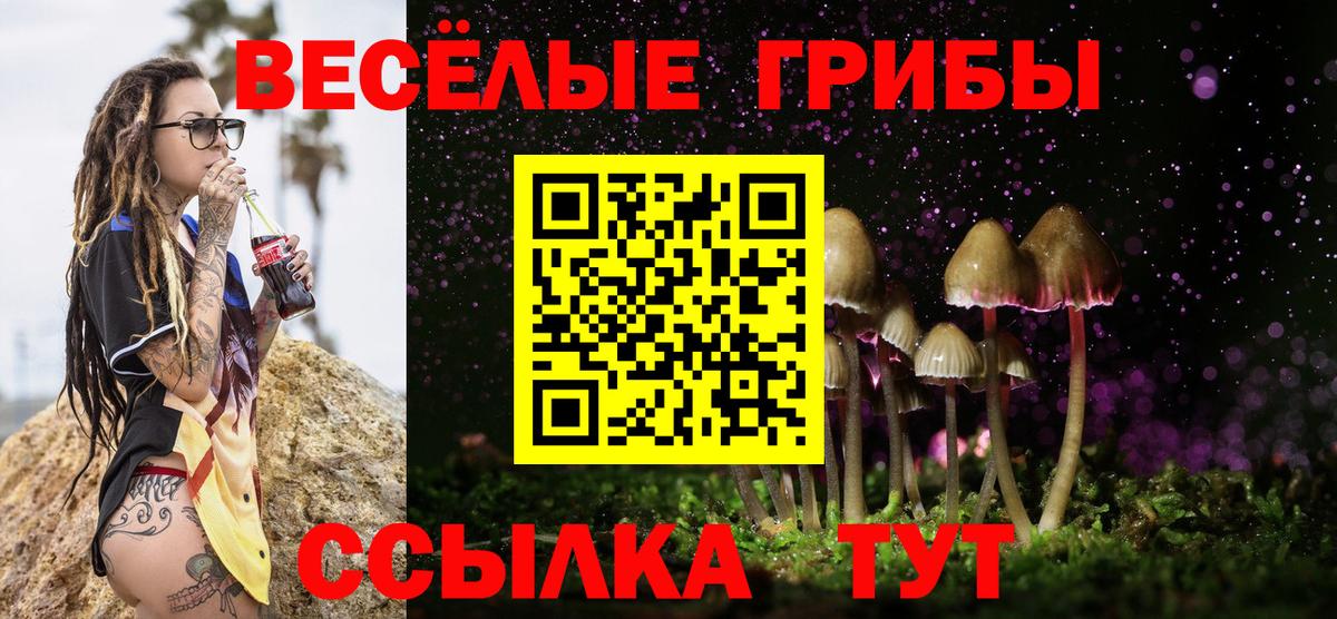 Галлюциногенные грибы прущие грибы  Вход с VPN  Галлюциногенные грибы Cubensis  Кизилюрт 